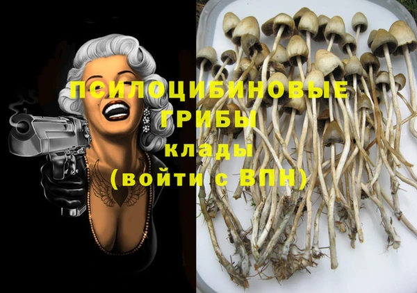 соль курить ск Дмитровск