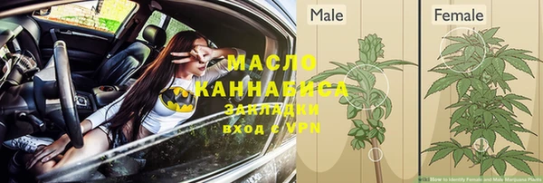 круглые Дмитриев
