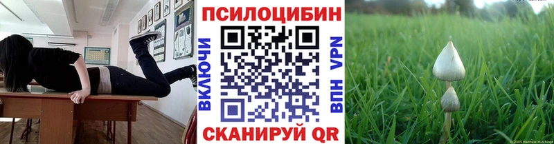 Псилоцибиновые грибы ЛСД  Купить  Завитинск 